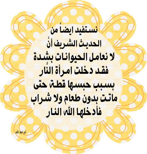 19 رقم مجموعة الصور