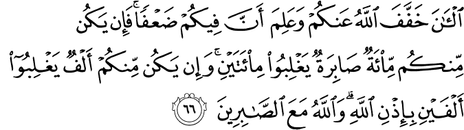 15 رقم مجموعة الصور