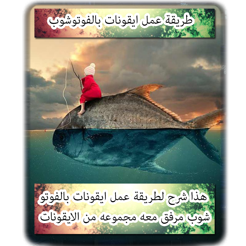 8 رقم مجموعة الصور