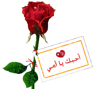 8 رقم مجموعة الصور