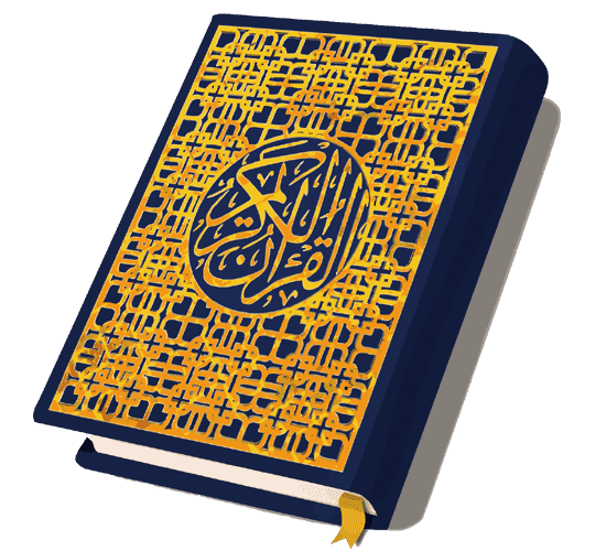11 رقم مجموعة الصور