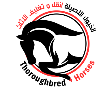 13 رقم مجموعة الصور