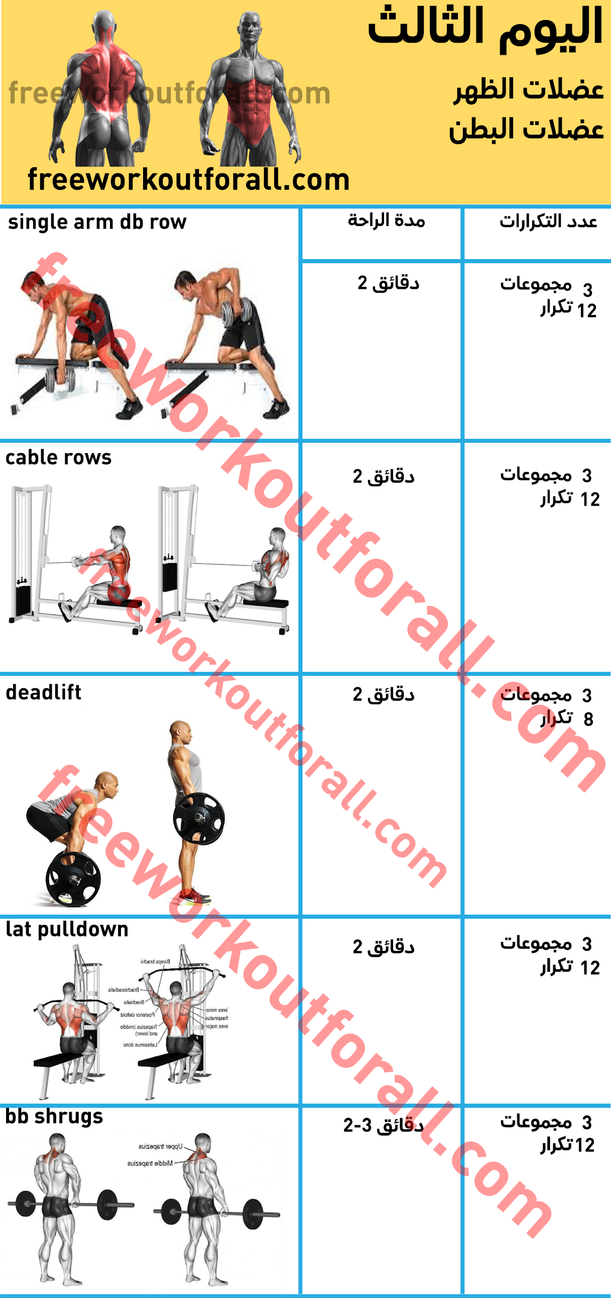 7 رقم مجموعة الصور