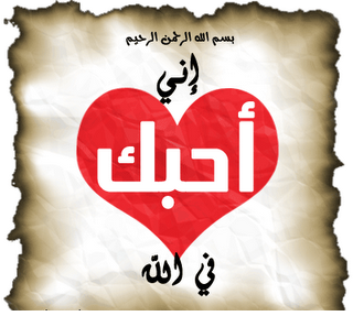 13 رقم مجموعة الصور