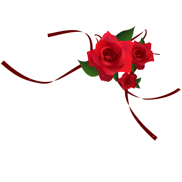 2 رقم مجموعة الصور