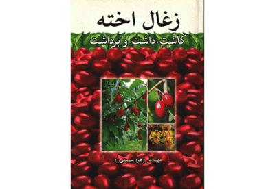 10 رقم مجموعة الصور