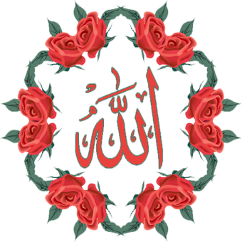 8 رقم مجموعة الصور