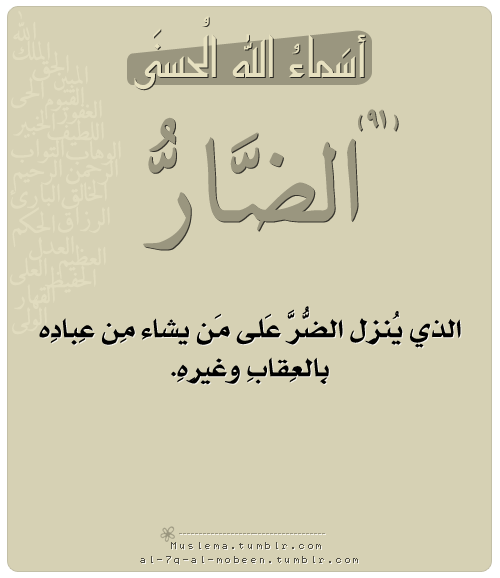 10 رقم مجموعة الصور