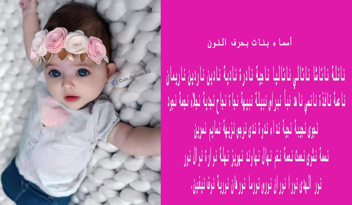 8 رقم مجموعة الصور