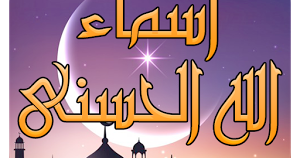 14 رقم مجموعة الصور