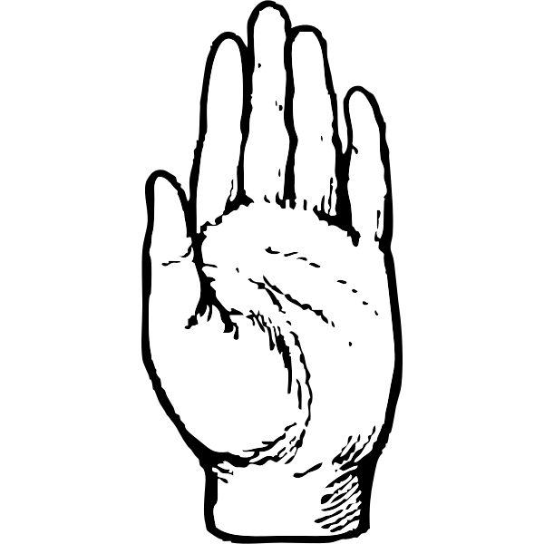 اشكال تاتو يد - KibrisPDR