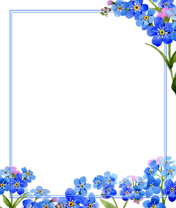 12 رقم مجموعة الصور