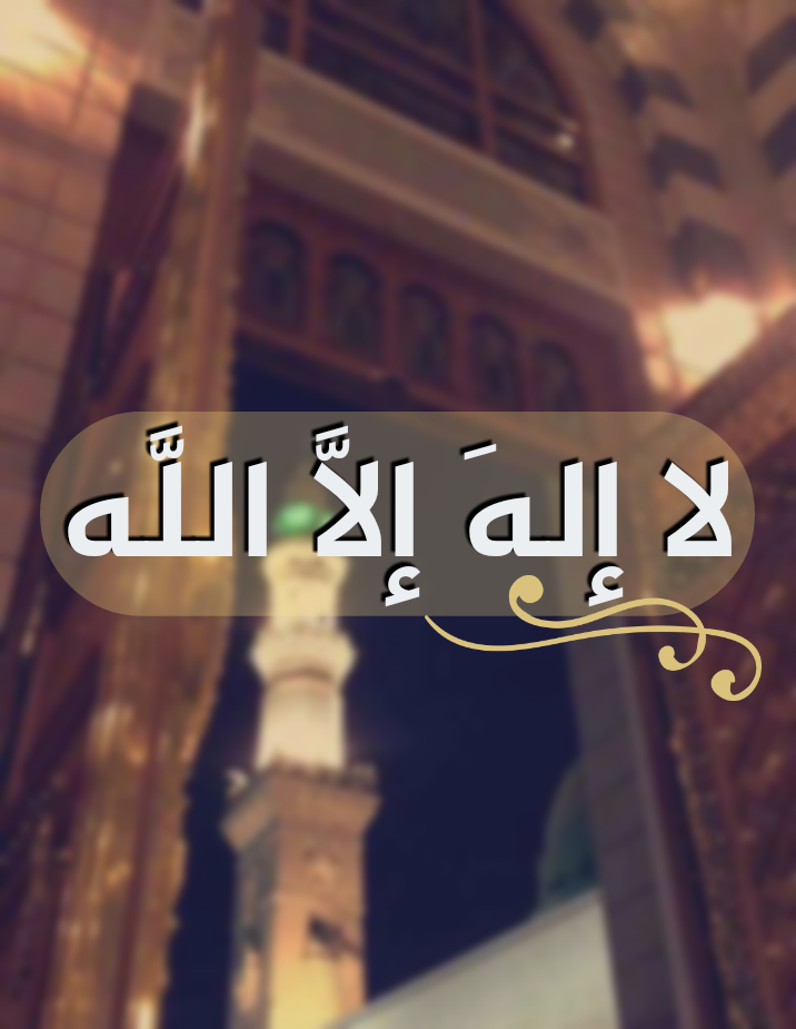 7 رقم مجموعة الصور