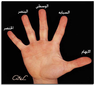 5 رقم مجموعة الصور