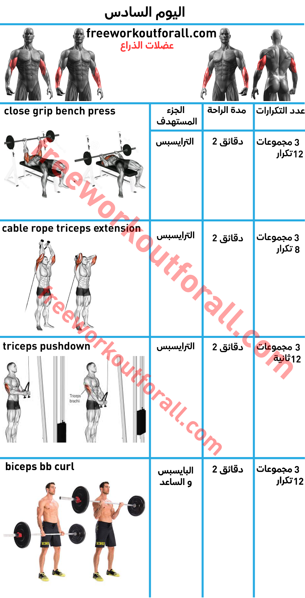 11 رقم مجموعة الصور