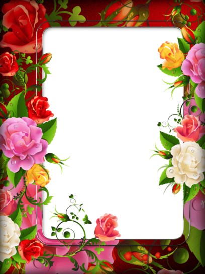13 رقم مجموعة الصور