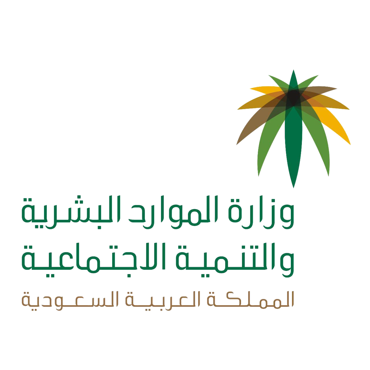 11 رقم مجموعة الصور