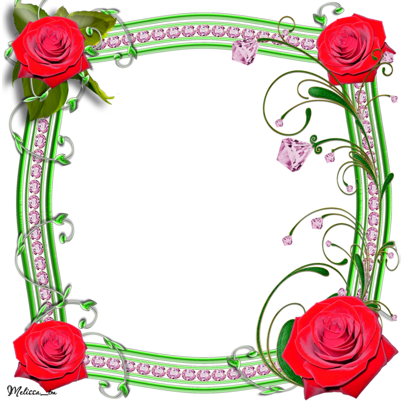 9 رقم مجموعة الصور