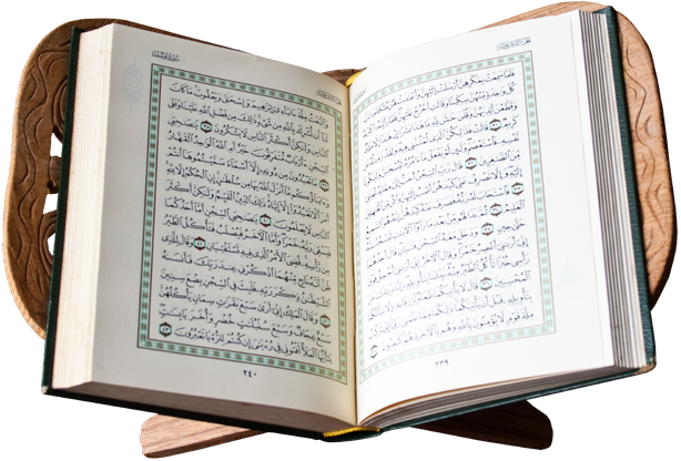 15 رقم مجموعة الصور