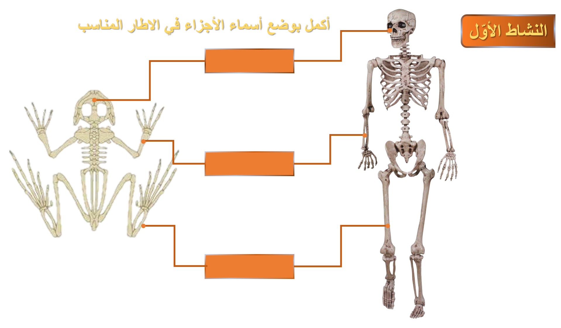 14 رقم مجموعة الصور