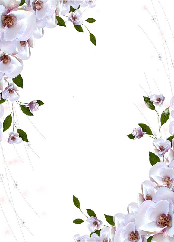 2 رقم مجموعة الصور