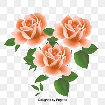 14 رقم مجموعة الصور