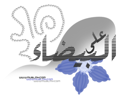 16 رقم مجموعة الصور