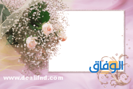 11 رقم مجموعة الصور