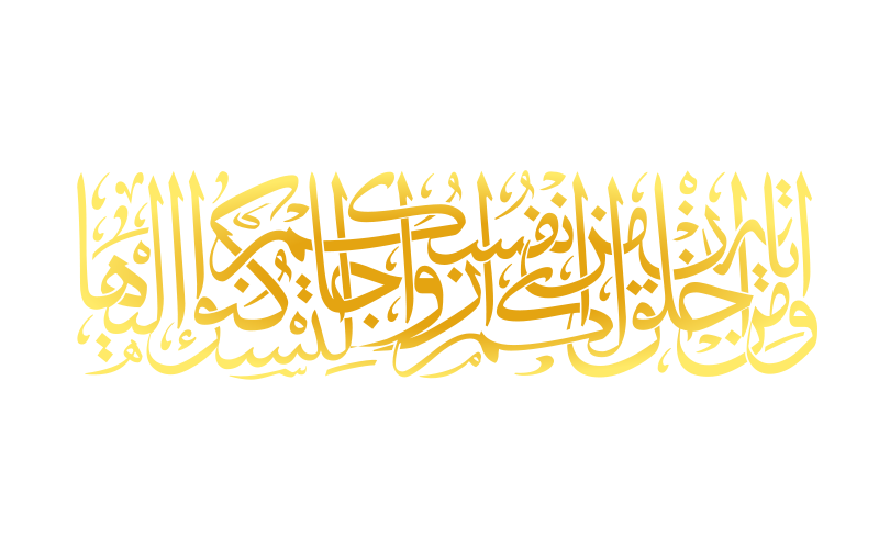 11 رقم مجموعة الصور