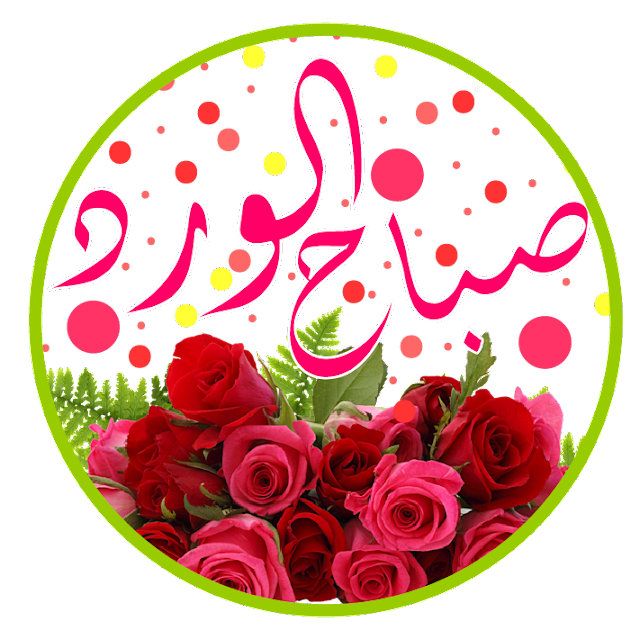 11 رقم مجموعة الصور