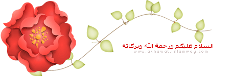 2 رقم مجموعة الصور