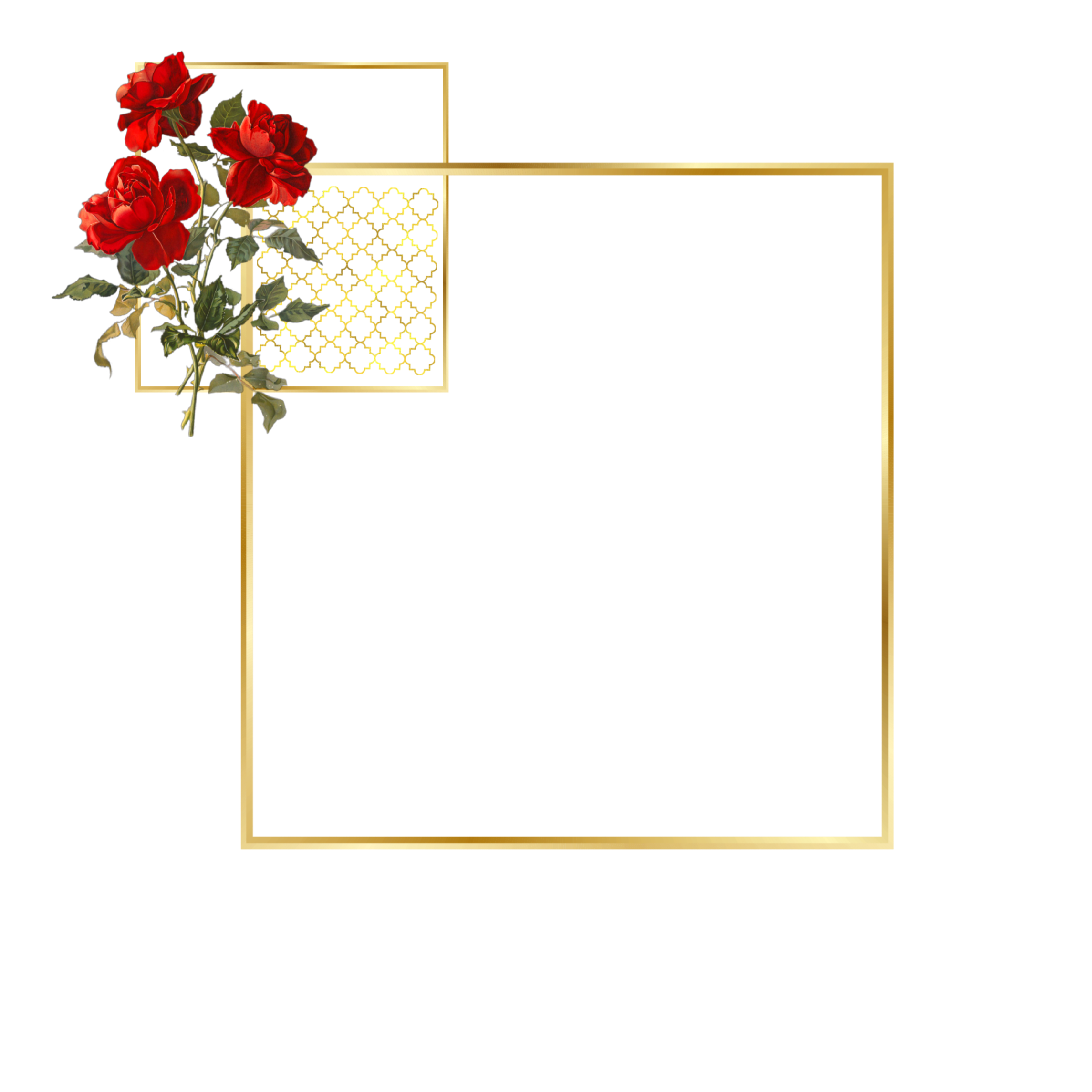 3 رقم مجموعة الصور