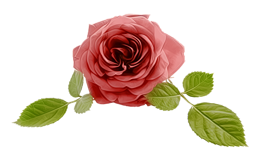9 رقم مجموعة الصور