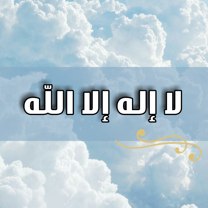 11 رقم مجموعة الصور