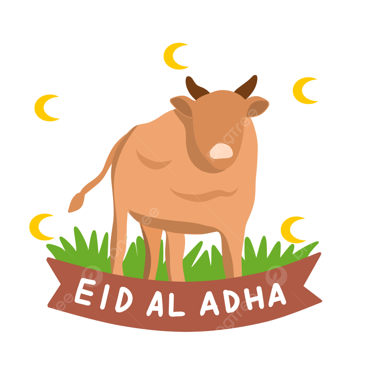 17 رقم مجموعة الصور
