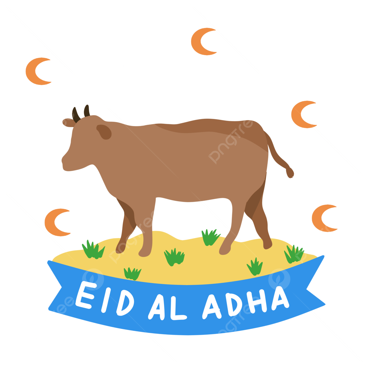 6 رقم مجموعة الصور