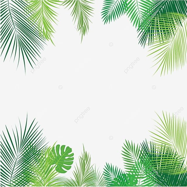 4 رقم مجموعة الصور