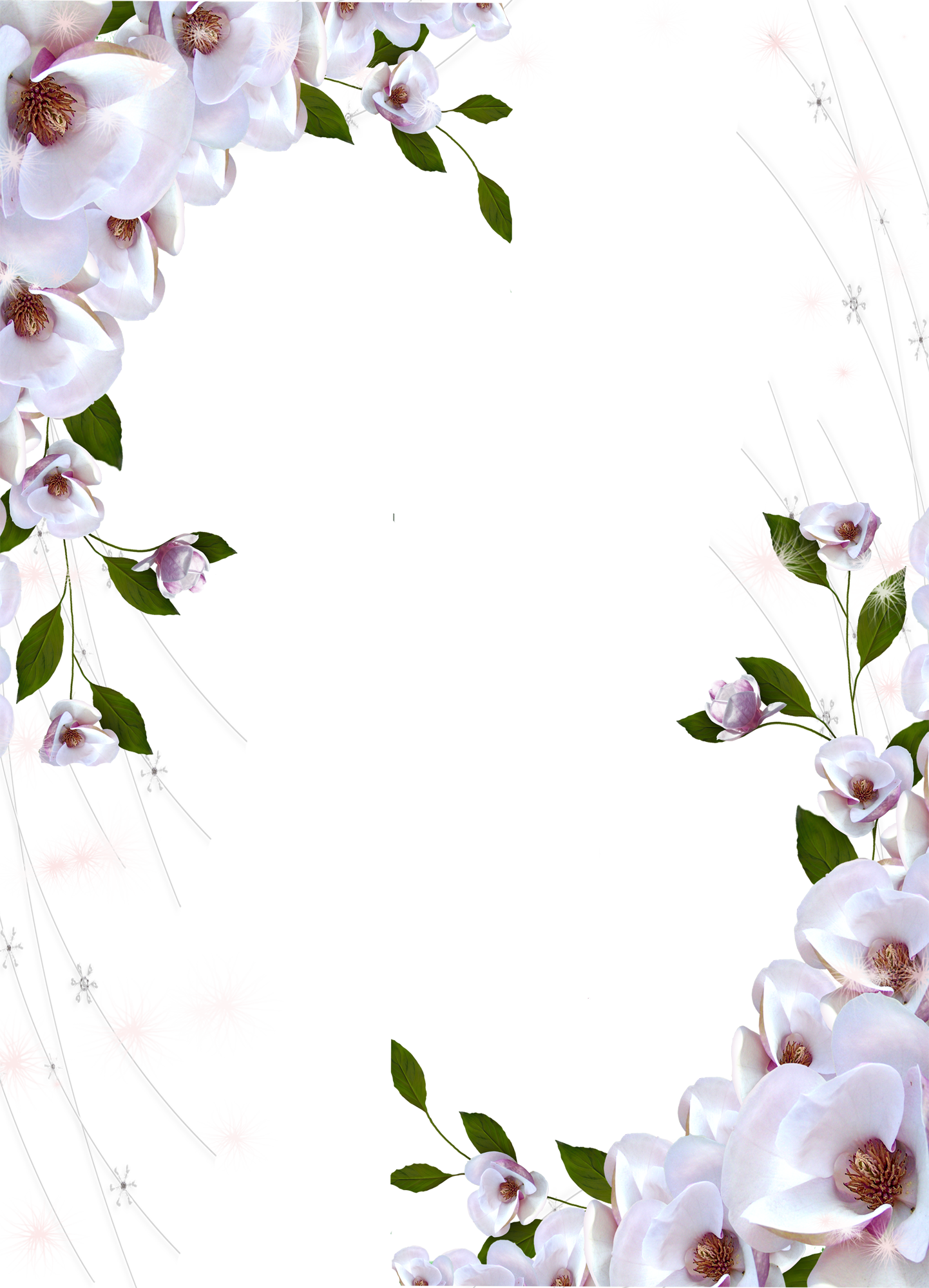 3 رقم مجموعة الصور