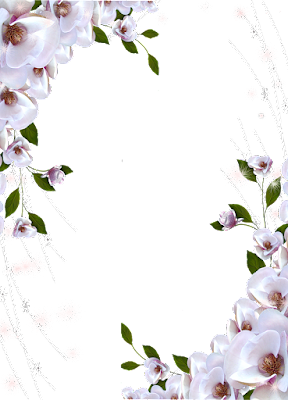 4 رقم مجموعة الصور