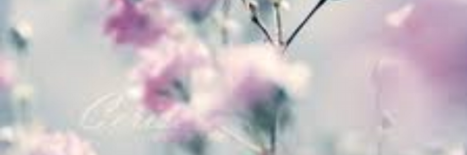 9 رقم مجموعة الصور