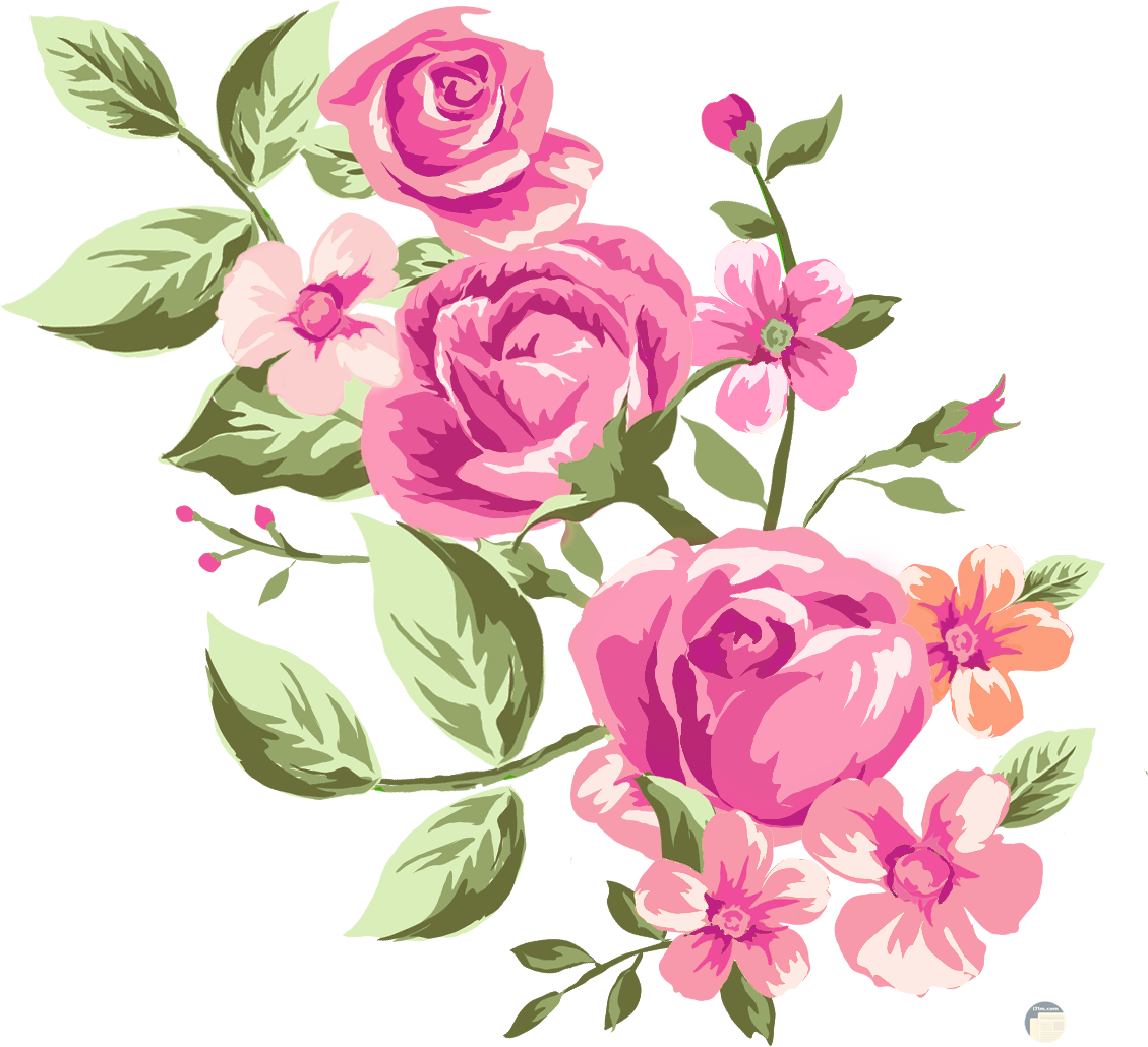 3 رقم مجموعة الصور
