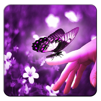 7 رقم مجموعة الصور