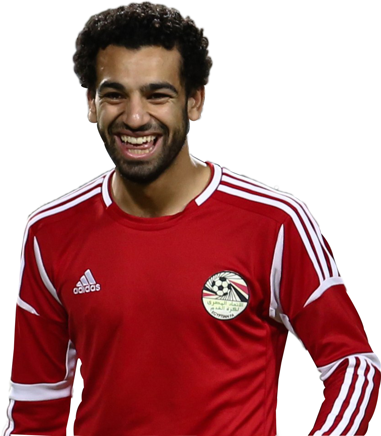 15 رقم مجموعة الصور