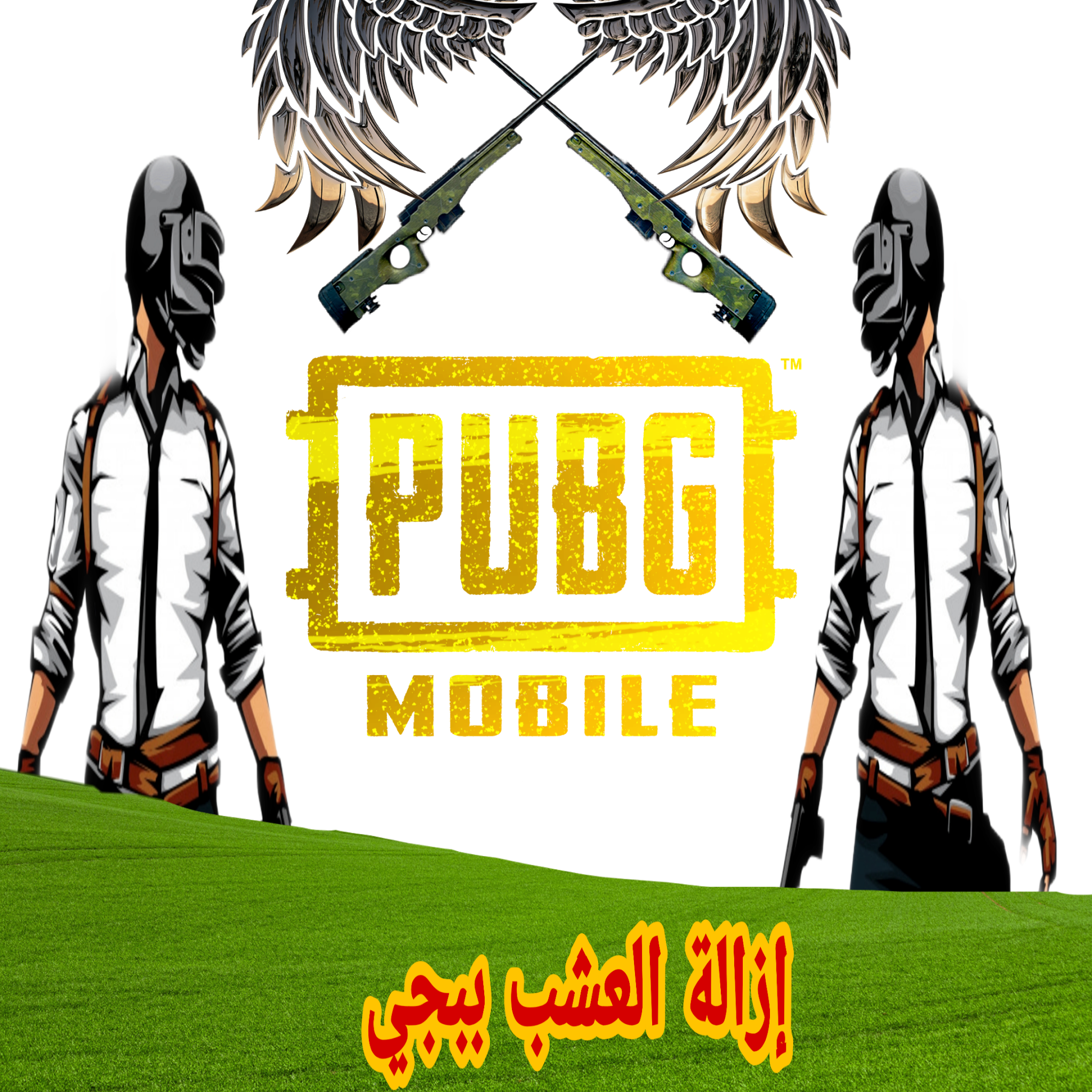 13 رقم مجموعة الصور