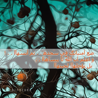 13 رقم مجموعة الصور