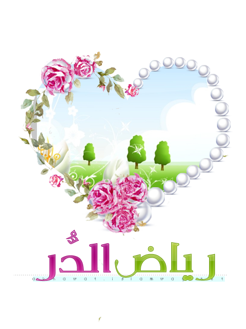 2 رقم مجموعة الصور