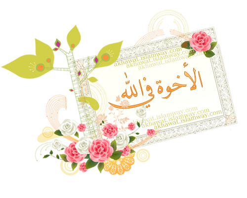 9 رقم مجموعة الصور