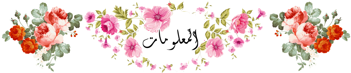 16 رقم مجموعة الصور
