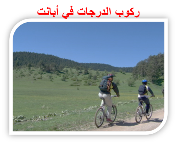 9 رقم مجموعة الصور