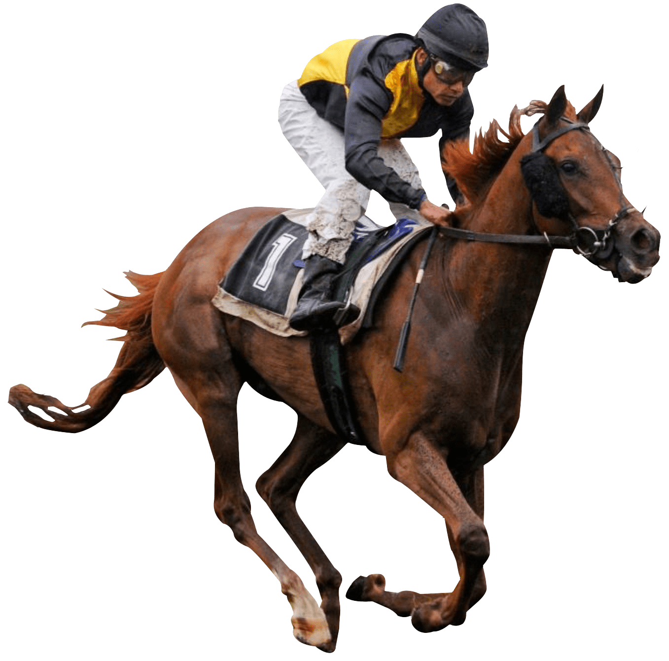 خيل وبحر وغيوم - KibrisPDR